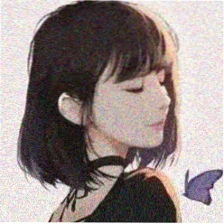 用户 胶片收藏家 头像